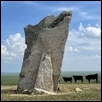 Teter Rock and Curious Cows