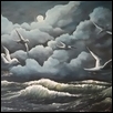 Flock of Seaguls