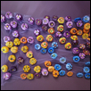 Bottle Flowers