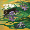 Pussy Cat Iris