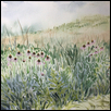 Coneflower Prairie