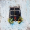 Window on the Plaza