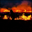 Burning the Flint Hills