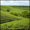 Rolling Flint Hills