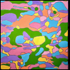 Brainbow: neurons of the cerebral cortex