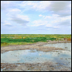 Quivira Reflections