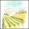The Vineyard