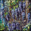 Mysterious Wisteria