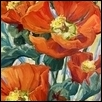 Native Color no. 2 (Globemallow II)