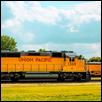 Pacific Armour Yellow