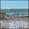 Snow-bound Margaritaville