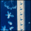 Dreaming in Blue