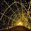Lawrence KS Infinity Tunnel