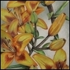 Yellow Lilies #3